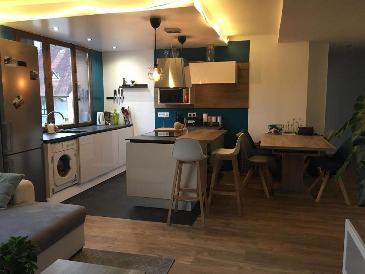 Le Coquet - Gare - Hyper Centre - Parking - Wifi - Netflix - Disney+ 안시 외부 사진
